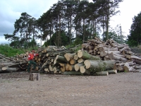 14th June 2008 024